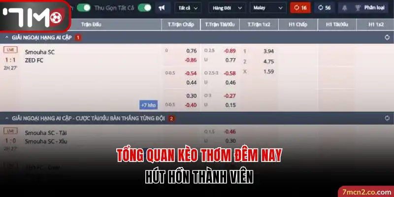 Tổng quan kèo thơm đêm nay hút hồn thành viên